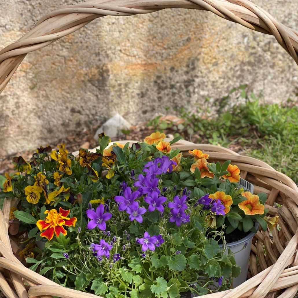 Osterbrunch vs. Secret Garden ist eröffnet