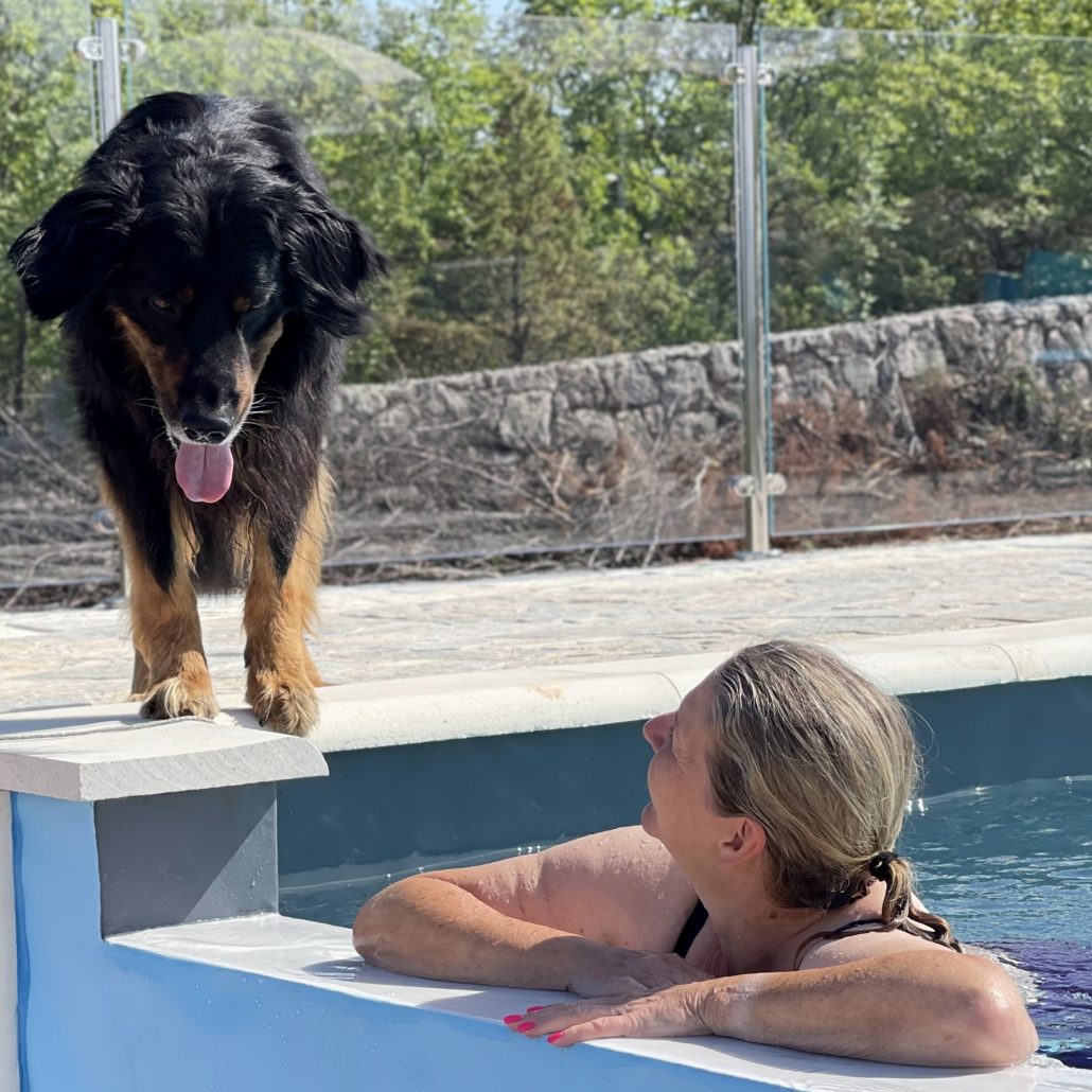 Was lange währt wird ewig gut vs. der Pool ist eröffnet
