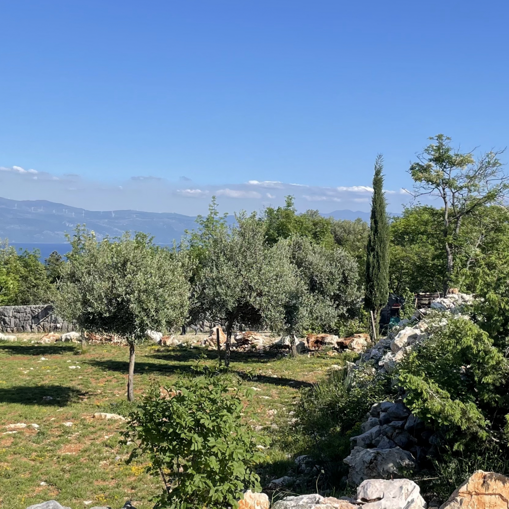 Rundgang im Frühling vs. hoffen auf eine gute Ernte