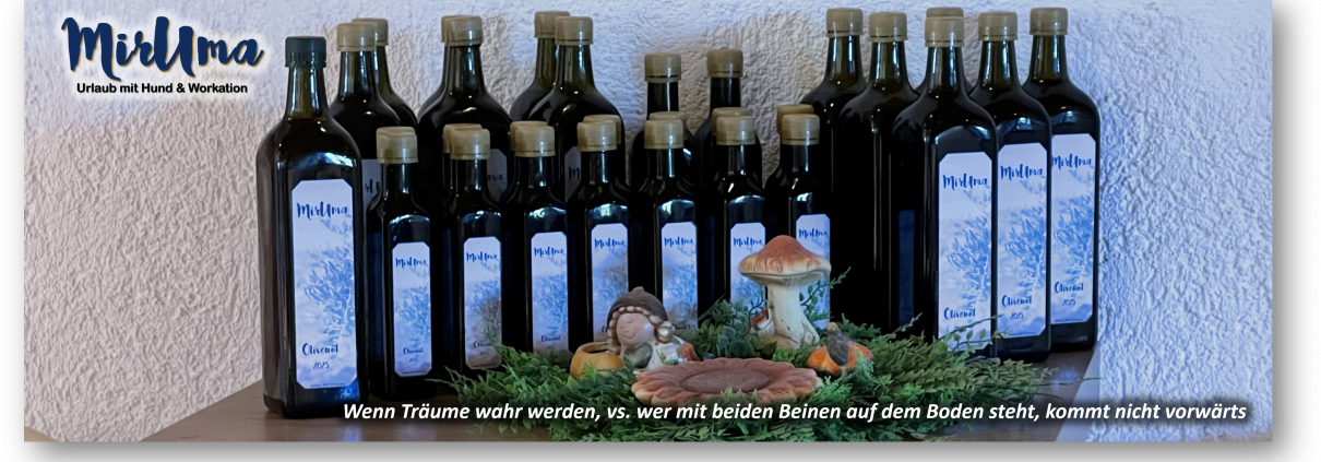 Wenn Träume wahr werden