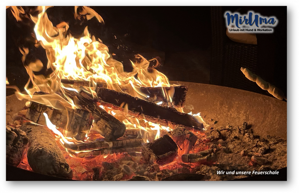 Wir und unsere Feuerschale Bild 15