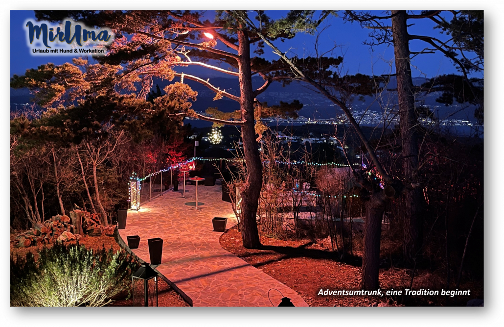 Adventsumtrunk, eine Tradition beginnt Bild 01