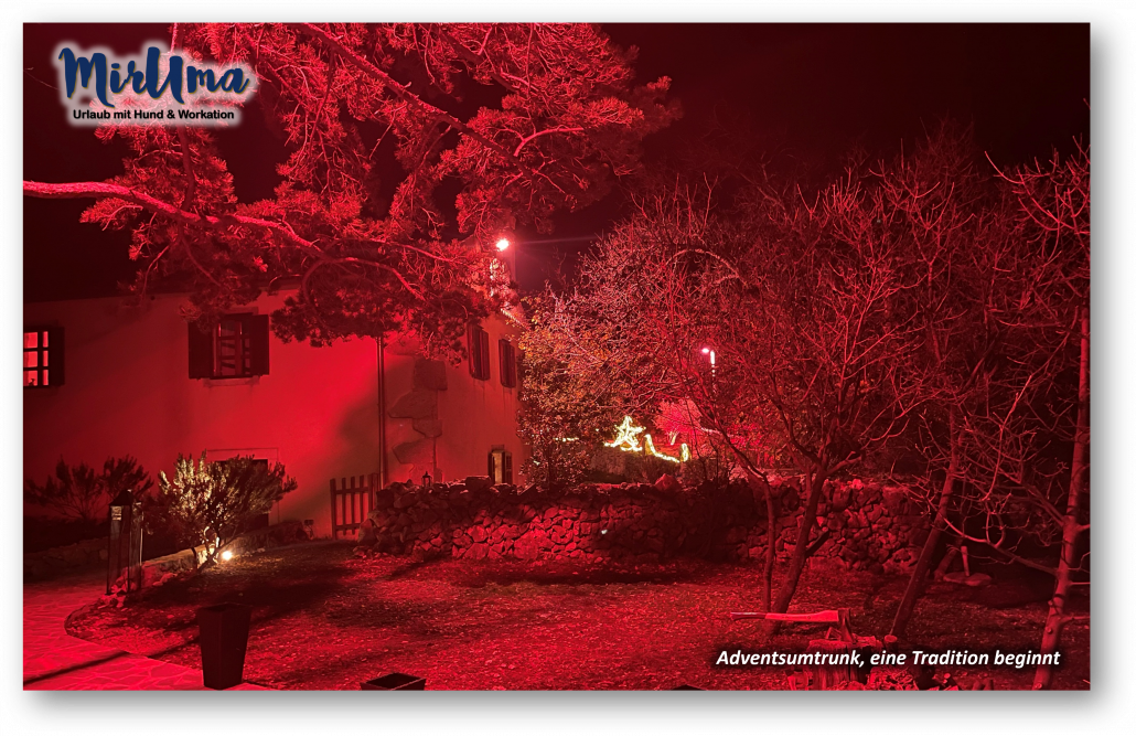 Adventsumtrunk, eine Tradition beginnt Bild 05