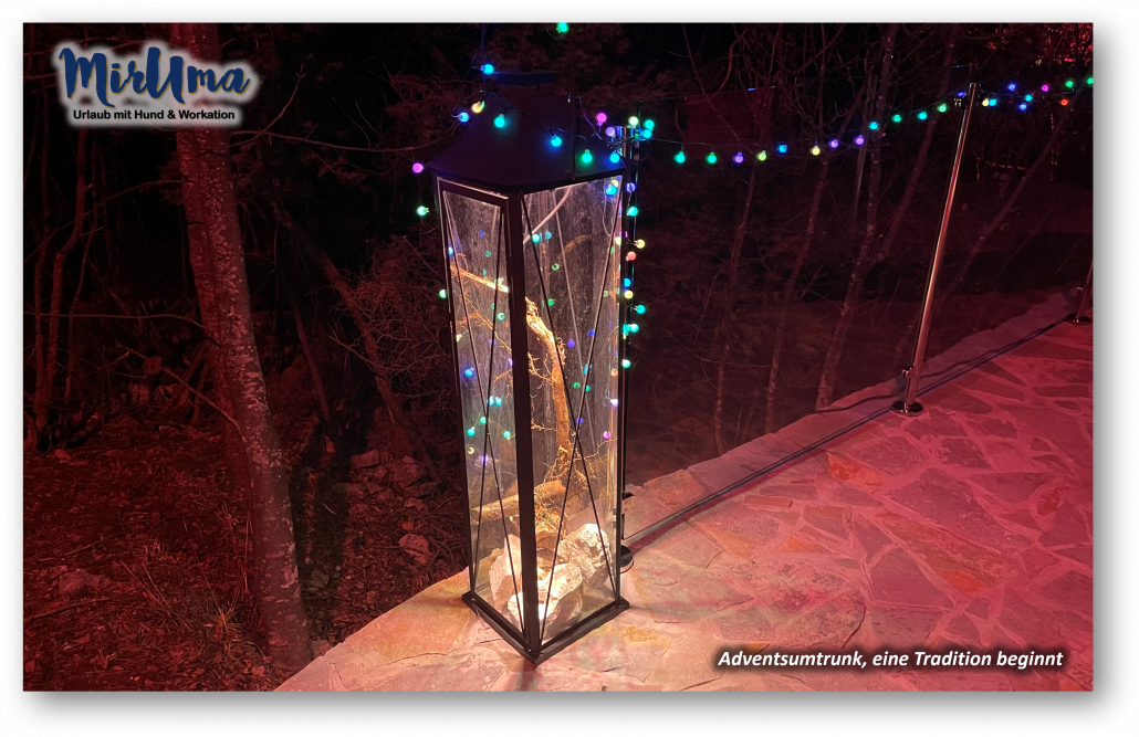 Adventsumtrunk, eine Tradition beginnt Bild 06