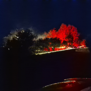 Der Glühweinumtrunk / Adventsumtrunk, der Vierte