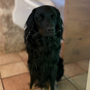 Happy birthday to me vs. ich bin jetzt erwachsen